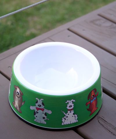 Doggy dish small