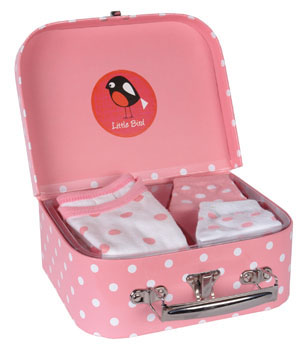 classic emily - PINK LITTLE BIRD GIFT CASE 