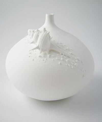 Bone China Vase with Turban Shell on sportingdirectory.com.au