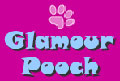 glamour pooch